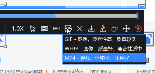 MP4格式