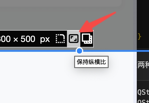 保持纵横比